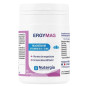 Nutergia – Ergymag, 45 gélules