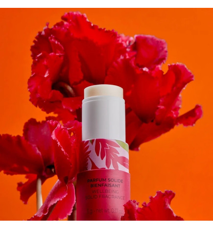 Roger & Gallet – Parfum Solide Bienfaisant Gingembre Rouge, 5 g