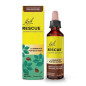 Rescue – Compte-gouttes Menthe Chocolat, 20 ml