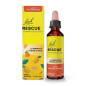 Rescue – Compte-gouttes Orange Mangue, 20 ml