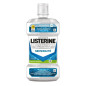 Listerine – Bain de Bouche Traitement Sensibilité Menthe Fraîche, 500 ml
