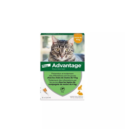 Advantage – Chat & Lapin, Solution antipuce 40, 1 à 4 kg