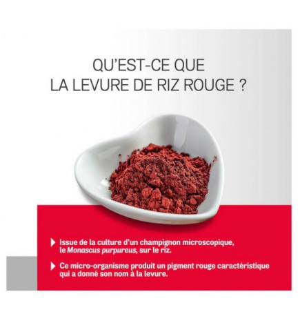 Arterin – Levure de Riz Rouge, 90 comprimés dont 30 offerts
