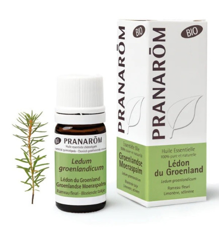 Pranarôm – Huile Essentielle de Lédon du Groenland Bio, 5 ml