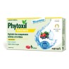 Sanofi – Phytoxil gorge irritée fruits rouges, 16 pastilles