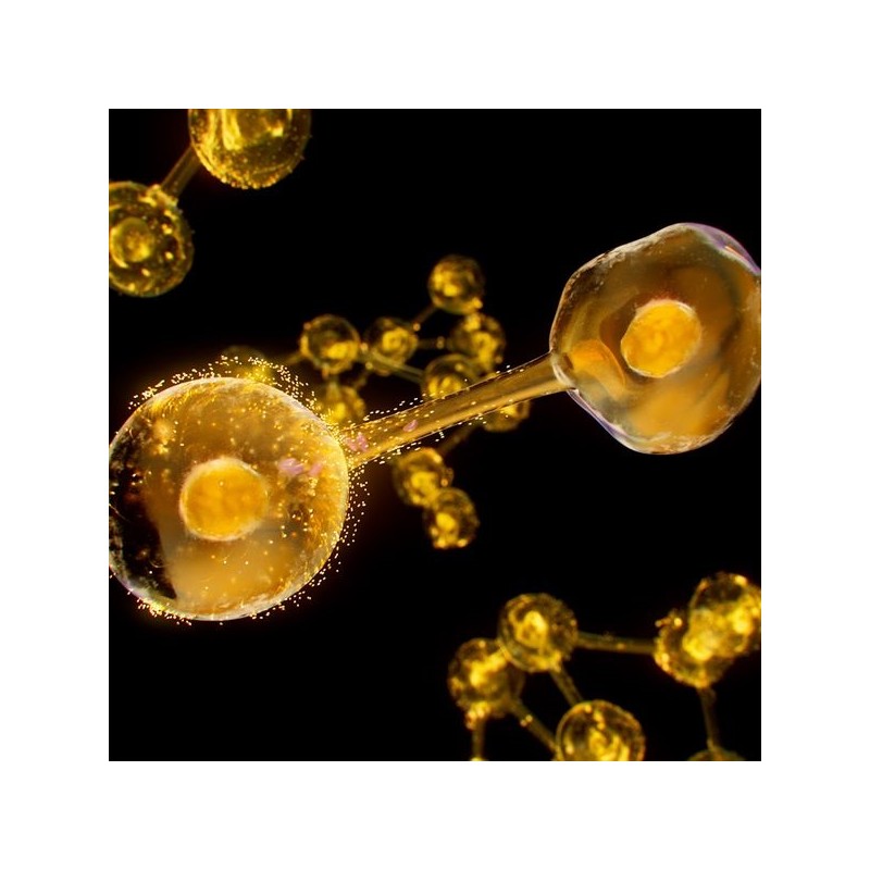 lero-lactease-digestion-du-lactose-60-comprimes lero-lactease-digestion-du-lactose-60-comprimes