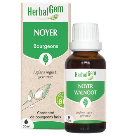 Herbalgem – Noyer Bio 30ml