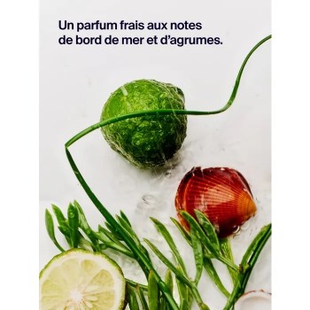 Nuxe Nuxuriance Ultra Crème Nuit redensifiante anti-âge global 50 ML