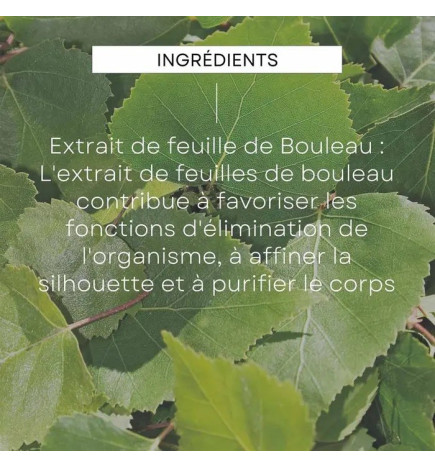 Weleda – Bouleau Huile de Massage Minceur au Bouleau, 200 ml