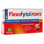 Tilman – Flexofytol Forte 28 Comprimés