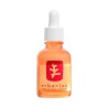 Erborian Skin Therapy Sérum Nuit Multi-Perfecteur 30ml