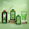 Weleda Bouleau Jus Bio 2x250ml