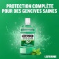 Listerine – Bain de Bouche Dents Et Gencives Menthe Fraîche 500ml