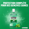 Listerine Bain de Bouche Dents Et Gencives Menthe Fraîche 500ml