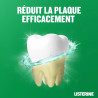 Listerine Bain de Bouche Dents Et Gencives Menthe Fraîche 500ml