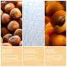 Krème Baume à Lèvres Réparateur 10g
