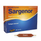 Sargenor – Arginine & Vitamine B12, ampoules Sargenor – Arginine & Vitamine B12, ampoules