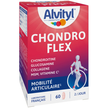 ALVITYL – ChondroFlex GO...