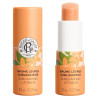 Roger & Gallet - Néroli Baume Lèvres Sublimateur, 3,5 g
