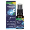 Bayer – Euphytose Nuit Spray Mélatonine, 20 ml