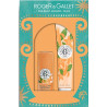 Roger & Gallet – Coffret Grand Bazar de Noël Néroli, Baume Lèvres et Crème Mains, 30 ml
