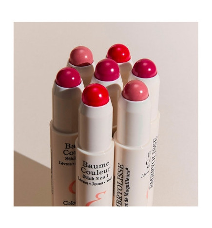 Embryolisse – Secret de Maquilleurs Baume Couleur Stick 3 en 1 Mocha, 2,5 g