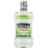 Listerine – Bain de bouche Protection Gencives Menthe goût plus léger, 500 ml