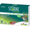 Stodal – Plantes Nez & Gorge & Bronches Pastilles Goût Fruits Rouges, boîte de pastilles