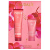 Caudalie – VinoHydra Coffret Le Duo Hydratation Intense, 2 soins