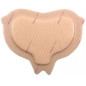 Mölnlycke – Mepilex Border Protect Sacrum/Talon, pansement hydrocellulaire auto-fixant siliconé