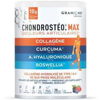 Laboratoire des Granions – Chondrostéo MAX poudre goût fruits des bois, 224 g