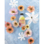 Hei Poa – Monoï Collection Sunset Flower, 100 mlHei Poa – Monoï Collection Sunset Flower, 100 ml Hei Poa – Monoï Collection Sunset Flower, 100 mlHei Poa – Monoï Collection Sunset Flower, 100 ml