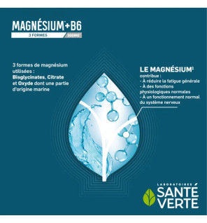 Sante Verte – Magnésium + B6 3 Formes 360 mg Libération Prolongée, 60 comprimés sécables