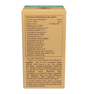 Solgar – Probiotiques Mood+ Bien-être mental anti-stress, 60 gélules