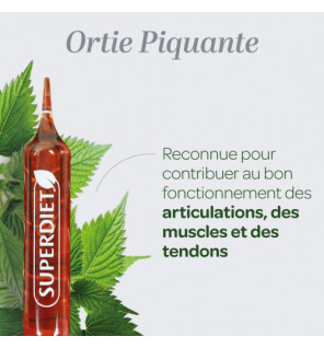 Superdiet – Ortie Piquante Bio, 20 ampoules