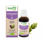 HerbalGem – Stomagem complexe de bourgeons digestion, 30 ml