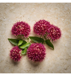 Lazartigue – Spray Coiffant Volumize Volume, 100 ml