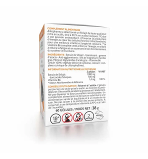 Arkopharma – Arkogélules Shilajit Énergie Vitalité Cellulaire, 60 gélules