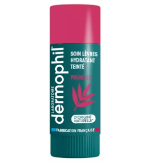 Dermophil Indien – Soin Lèvres Hydratant Teinté Prunelle, 4 g