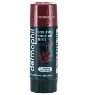 Dermophil Indien – Soin Lèvres Hydratant Teinté Rose Poudré, 4 g