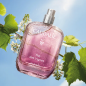 Caudalie – Thé des Vignes eau fraîche, 50 ml Caudalie – Thé des Vignes eau fraîche, 50 ml