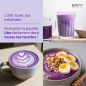 Eafit – Minceur 360 Ube Kombucha, 250 g Eafit – Minceur 360 Ube Kombucha, 250 g