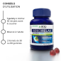 Arkopharma – Arkorelax Sommeil Fort gummies, 60 gummies Arkopharma – Arkorelax Sommeil Fort gummies, 60 gummies