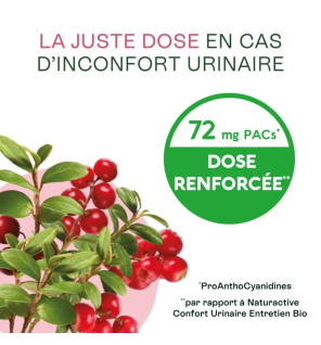 Naturactive – Urisanol Flash, 10 sticks