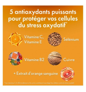 Oenobiol – Sun Expert Protection Antioxydante, 60 capsules