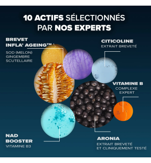 Arkopharma – Santé longévité cérébrale, 60 gélules