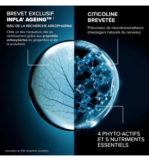 Arkopharma – Santé longévité cérébrale, 60 gélules