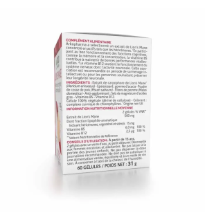 Arkopharma – Arkogélules Lion’s Mane, 60 gélules