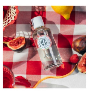 Roger & Gallet – Fleur de Figuier coffret eau parfumée bienfaisante 100 ml + parfum solide 5 g