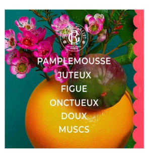 Roger & Gallet – Fleur de Figuier coffret eau parfumée bienfaisante 100 ml + parfum solide 5 g